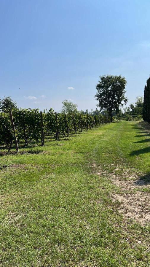 Appartamento Cà Vittoria Desenzano del Garda